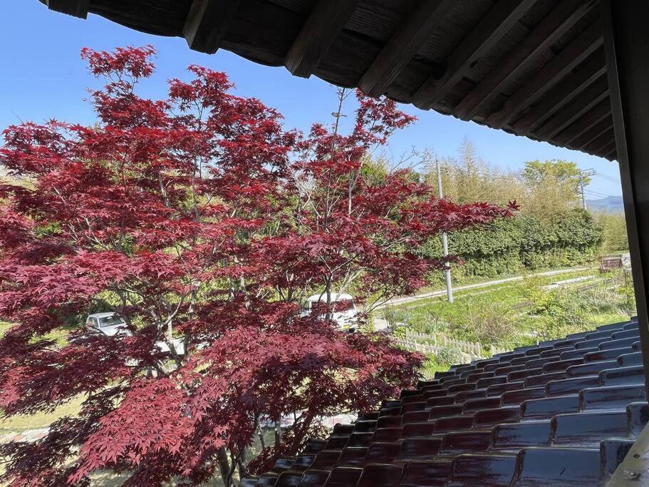 ガーデンハウス道楽亭 Vila Sado Exterior foto